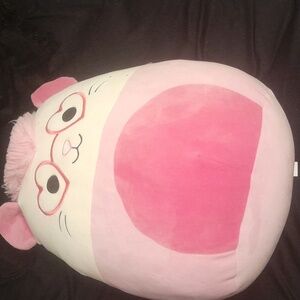 Squishmello for valentines